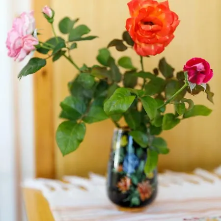 בית נופש House Salvia *