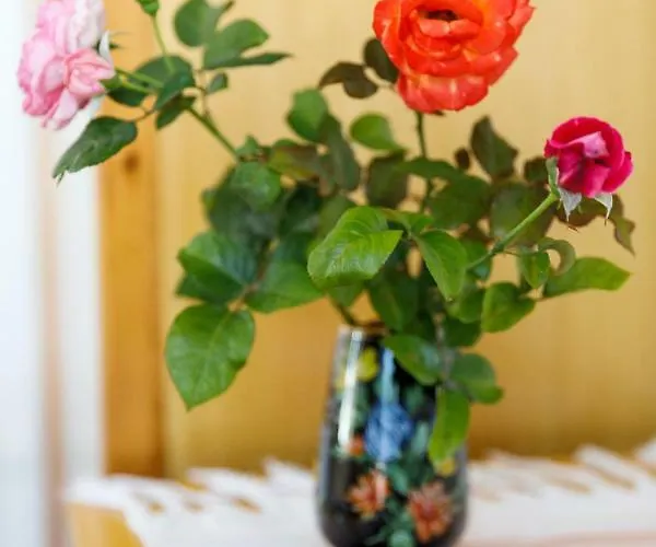 بيت للعطل House Salvia *