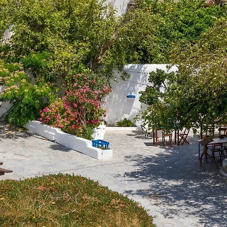 House Salvia Lachania