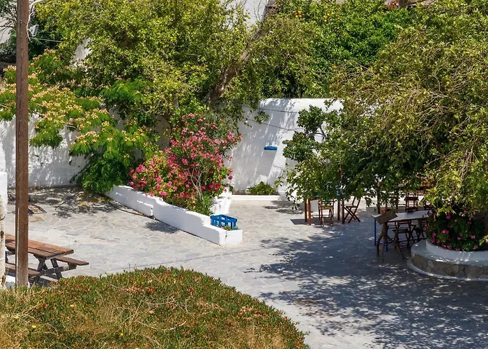 House Salvia Lachania